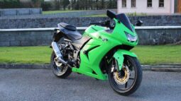 2010 Kawasaki Ninja 250R (EX250J)