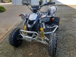 2008 Can-Am DS 450