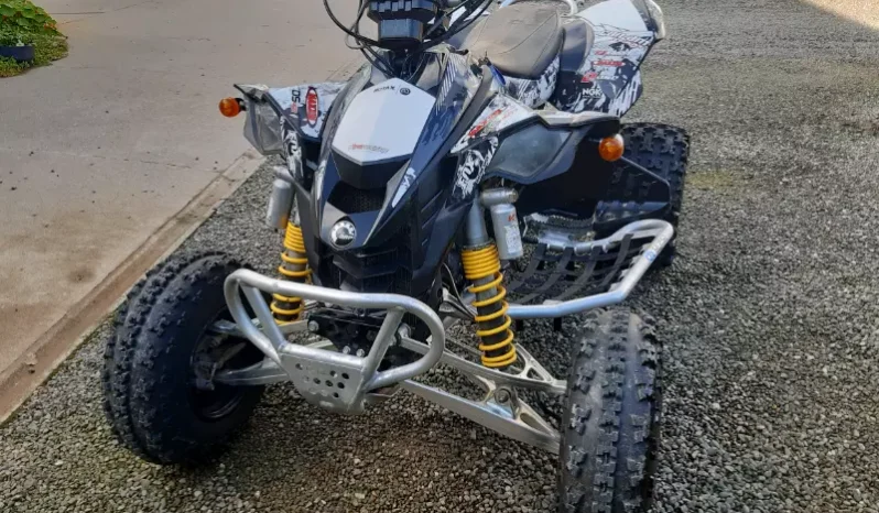 2008 Can-Am DS 450