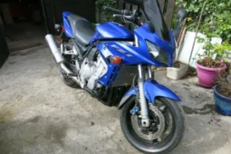 2005 Yamaha FZ1 Fazer (FZS1000S)