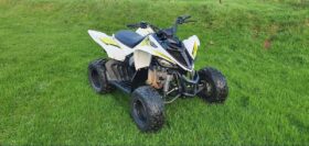 2018 Yamaha Raptor 90 (YFM90R)