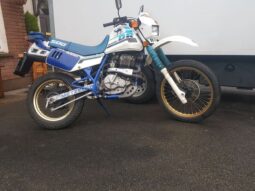 1988 Suzuki DR500