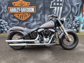 2014 Harley-Davidson Softail Slim (FLS)