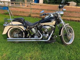 2004 Harley-Davidson Springer Softail 88 (FXSTS)