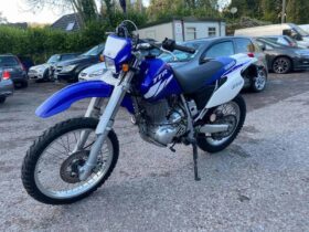 2004 Yamaha TTR600