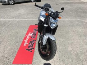 2008 Yamaha FZ1N