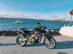 
										2008 Aprilia Shiver 750 full									