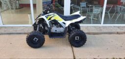 2018 Yamaha Raptor 90 (YFM90R)