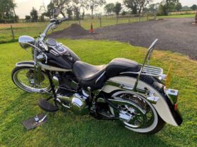 2004 Harley-Davidson Springer Softail 88 (FXSTS)