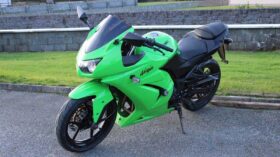 2010 Kawasaki Ninja 250R (EX250J)