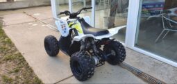 
										2018 Yamaha Raptor 90 (YFM90R) full									