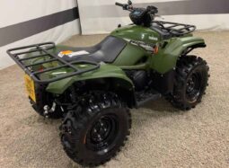 
										2021 Yamaha Kodiak 700 EPS (YFM700FBP) full									