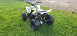 
										2018 Yamaha Raptor 90 (YFM90R) full									