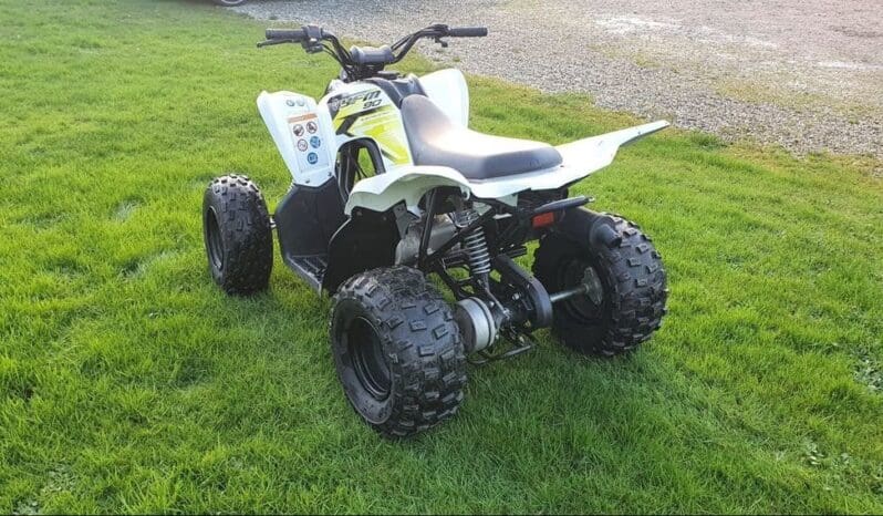 
								2018 Yamaha Raptor 90 (YFM90R) full									