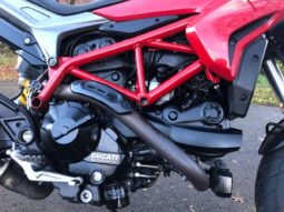 
										2017 Ducati Hypermotard 939 full									